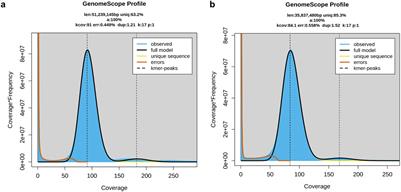 Genome sequence of a European Diplocarpon coronariae strain and in silico structure of the mating-type locus